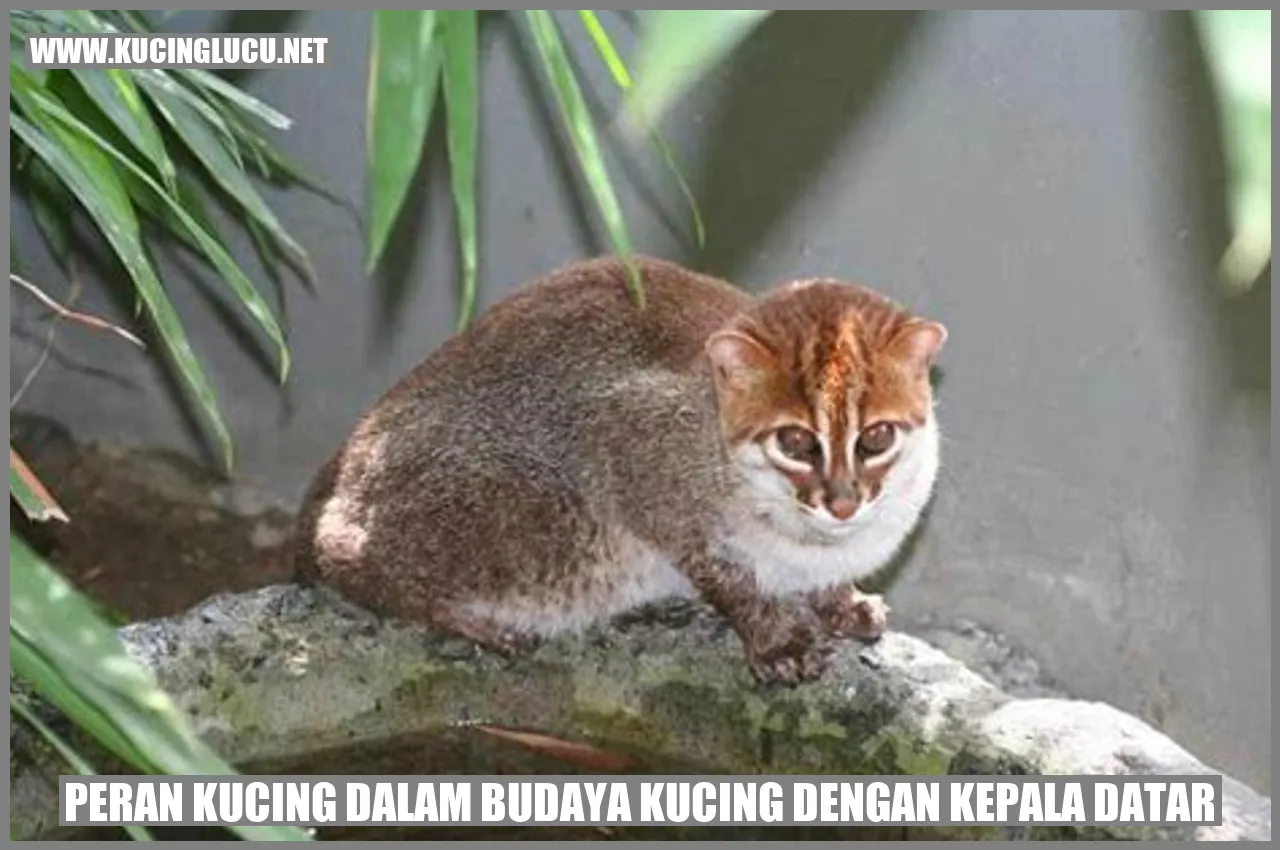 Peran Kucing dalam Budaya Kucing dengan Kepala Datar