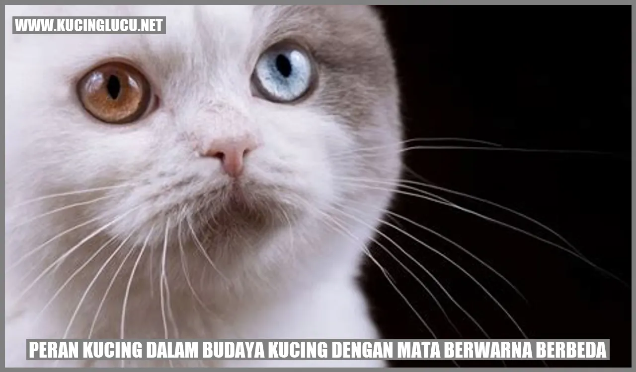 Kucing dengan mata berwarna berbeda