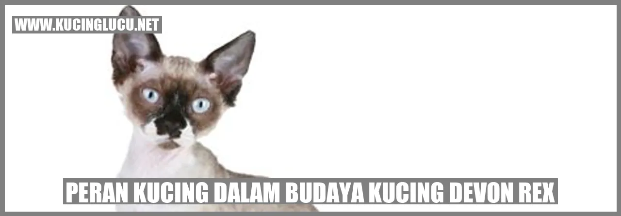Kucing Devon Rex