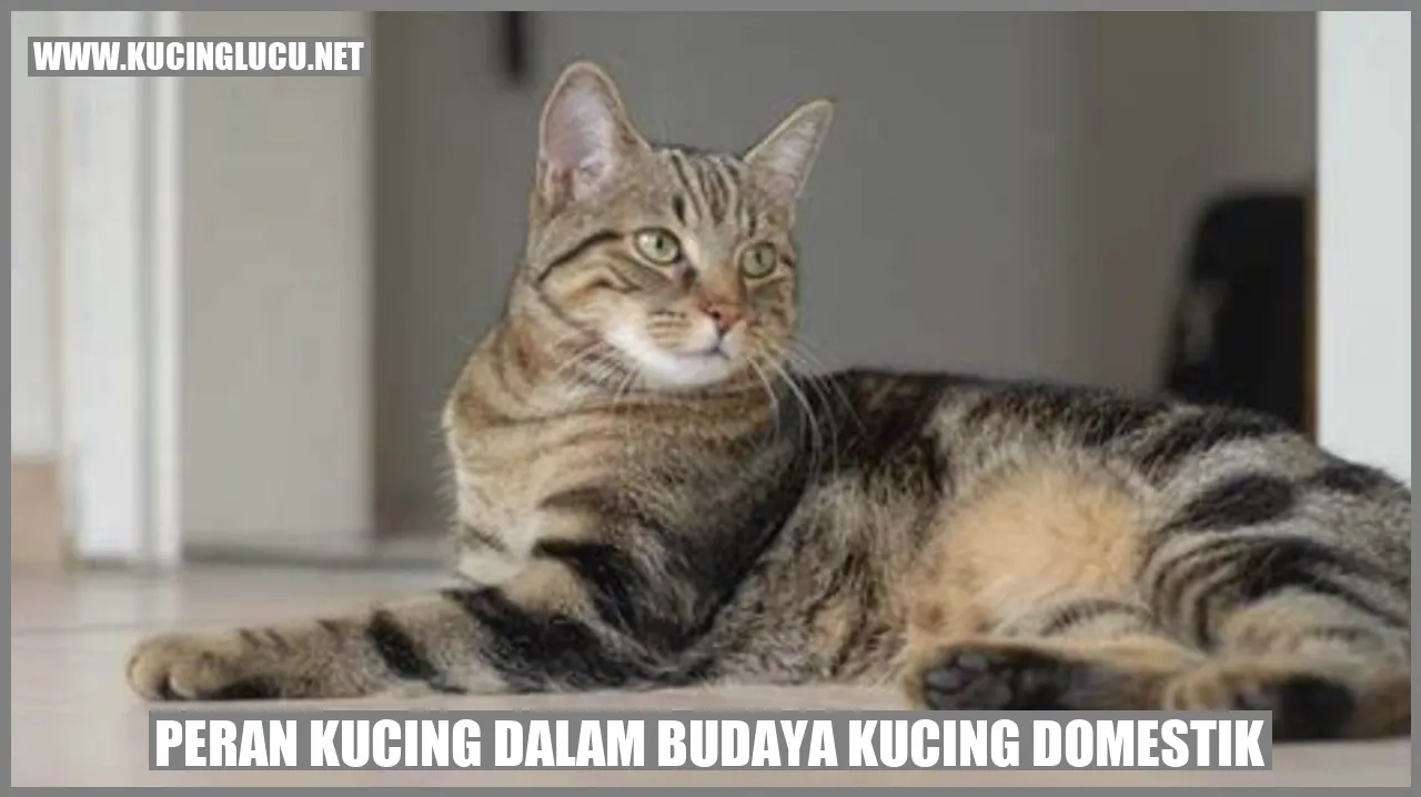 Peran Kucing dalam Budaya Kucing domestik