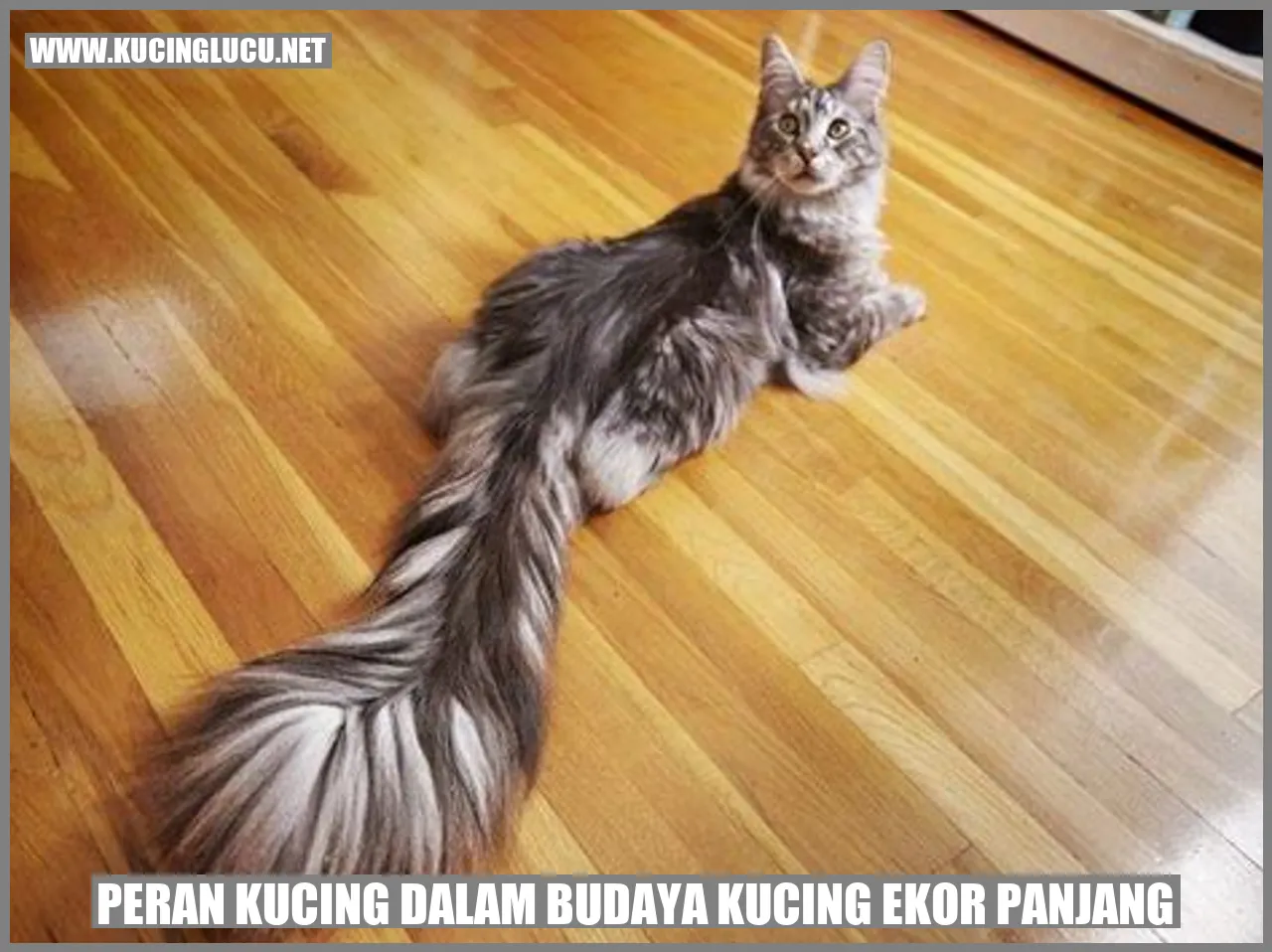 Gambar kucing yang berperan dalam budaya Kucing Ekor Panjang