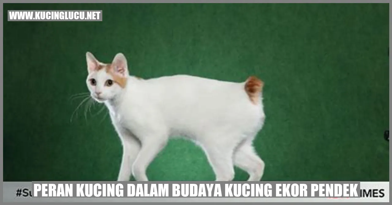 Kucing Ekor Pendek