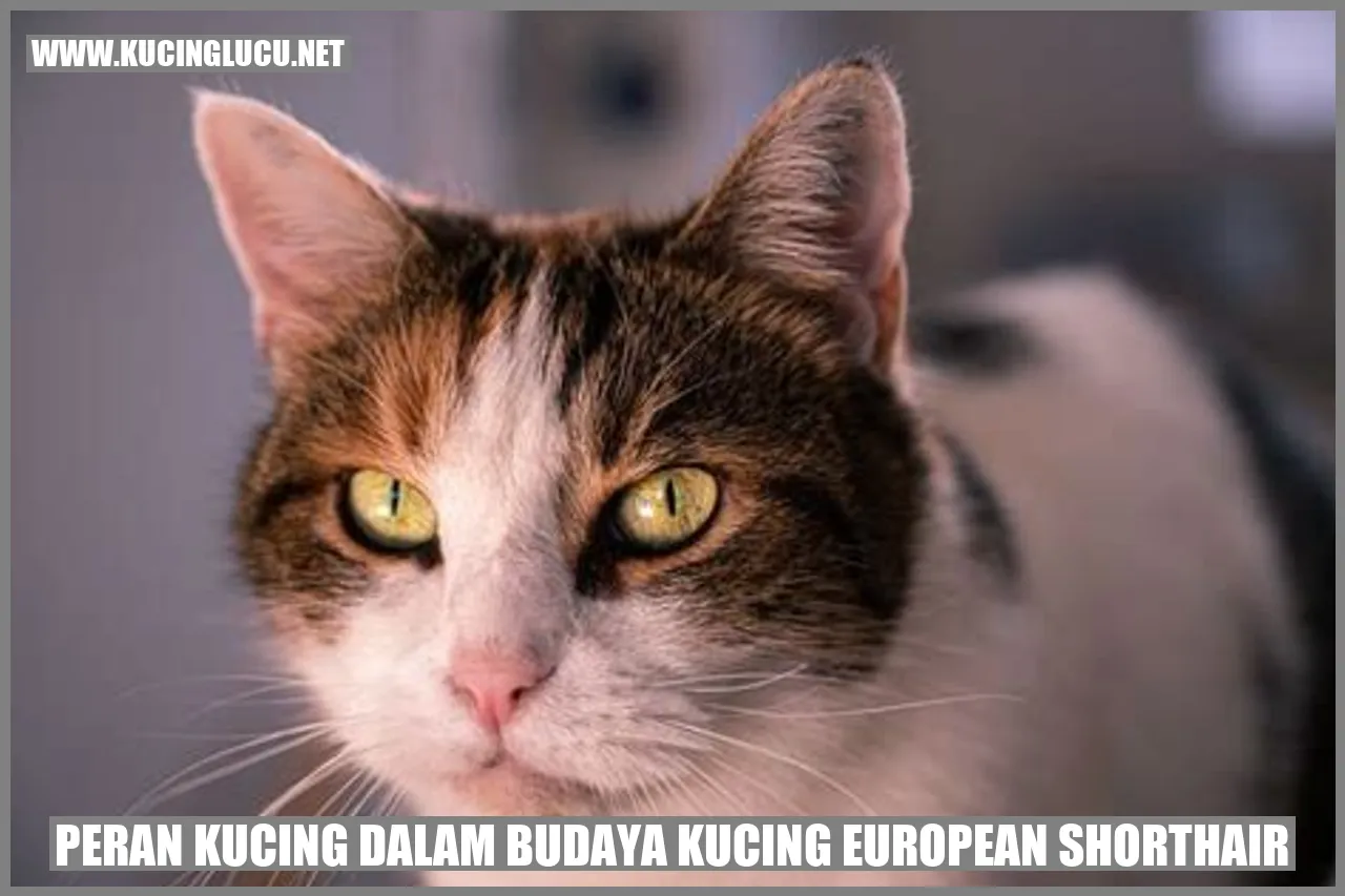 Peran Kucing dalam Budaya Kucing European Shorthair
