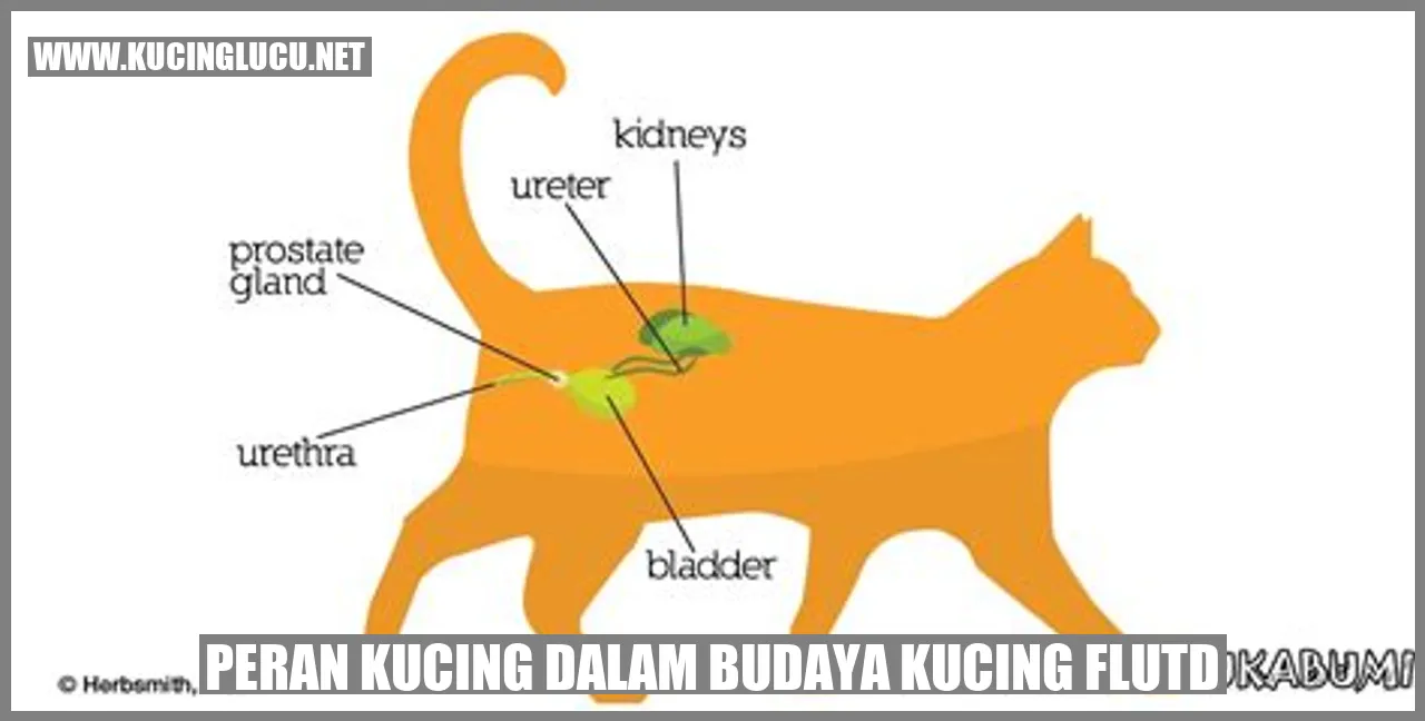 Gambar Kucing