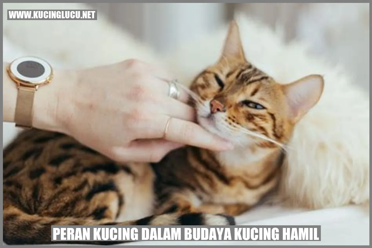 Peran Kucing dalam Budaya kucing hamil