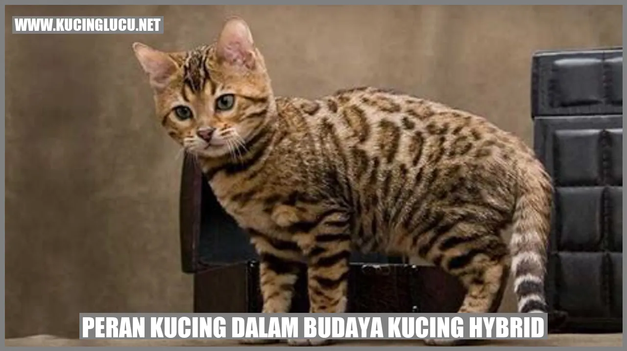 Peran Kucing dalam Budaya Kucing Hybrid