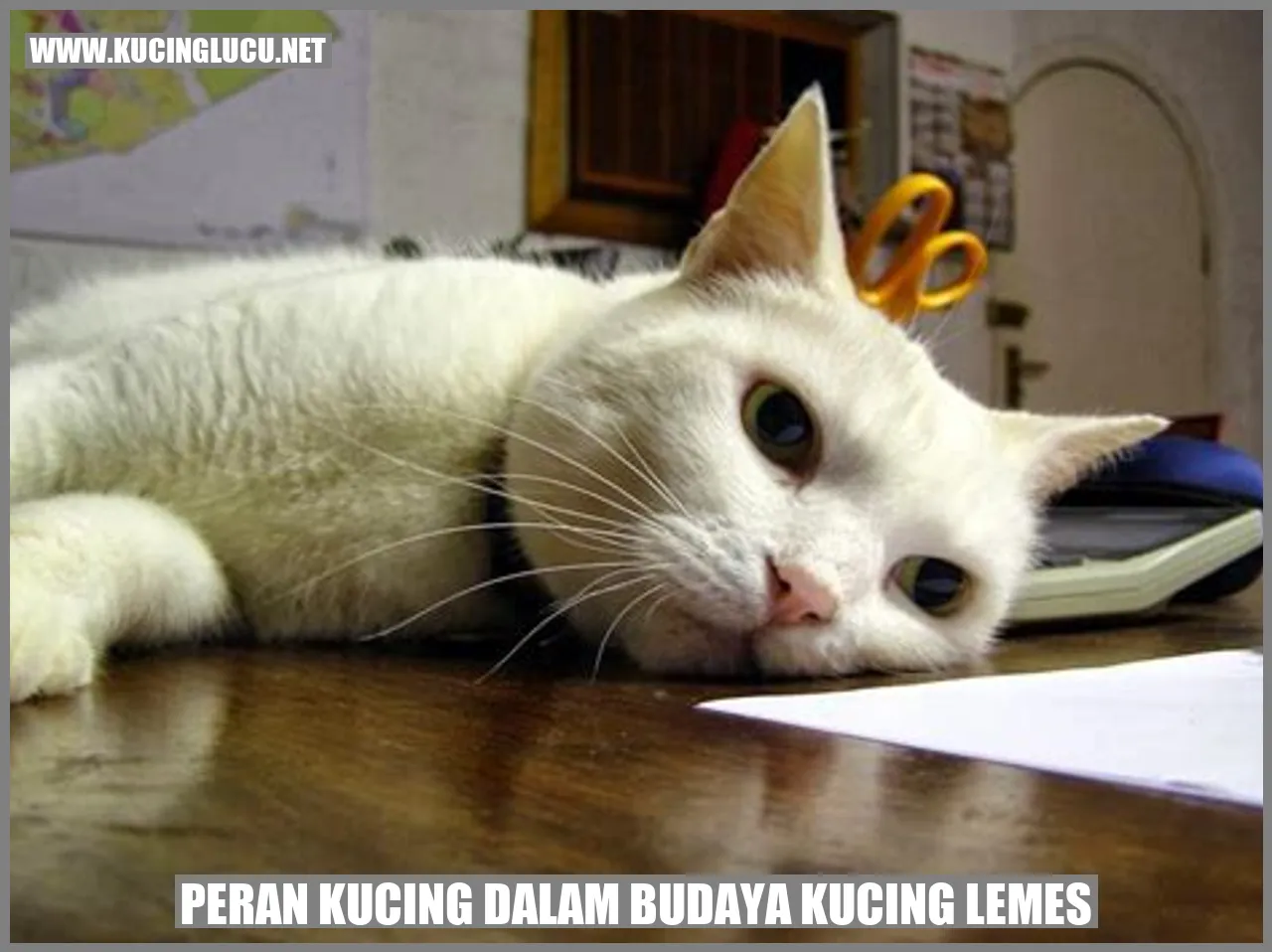 Kucing Menggemaskan