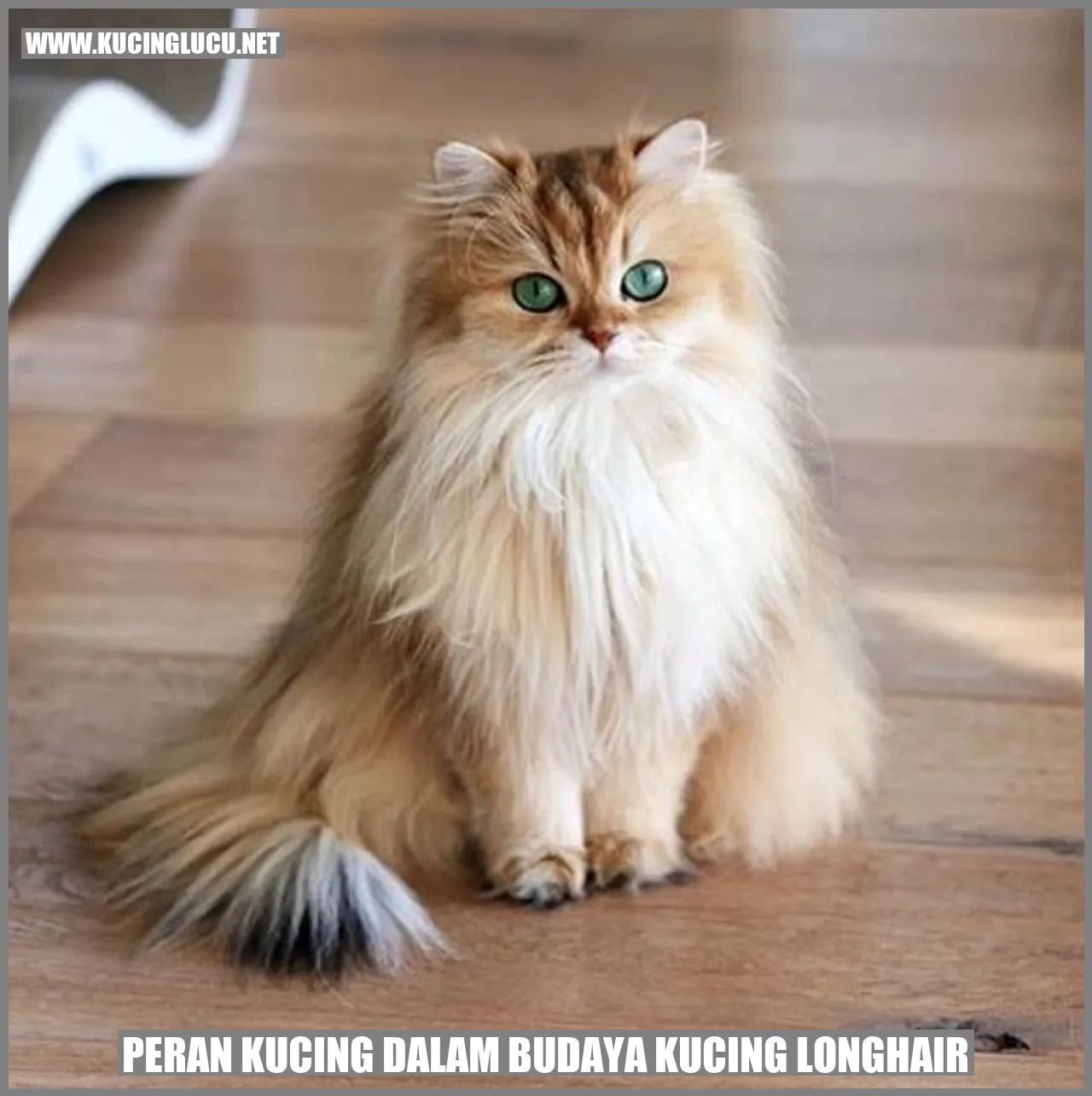 Peran Kucing dalam Budaya Kucing Longhair