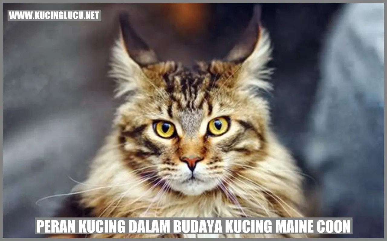 Kucing Maine Coon