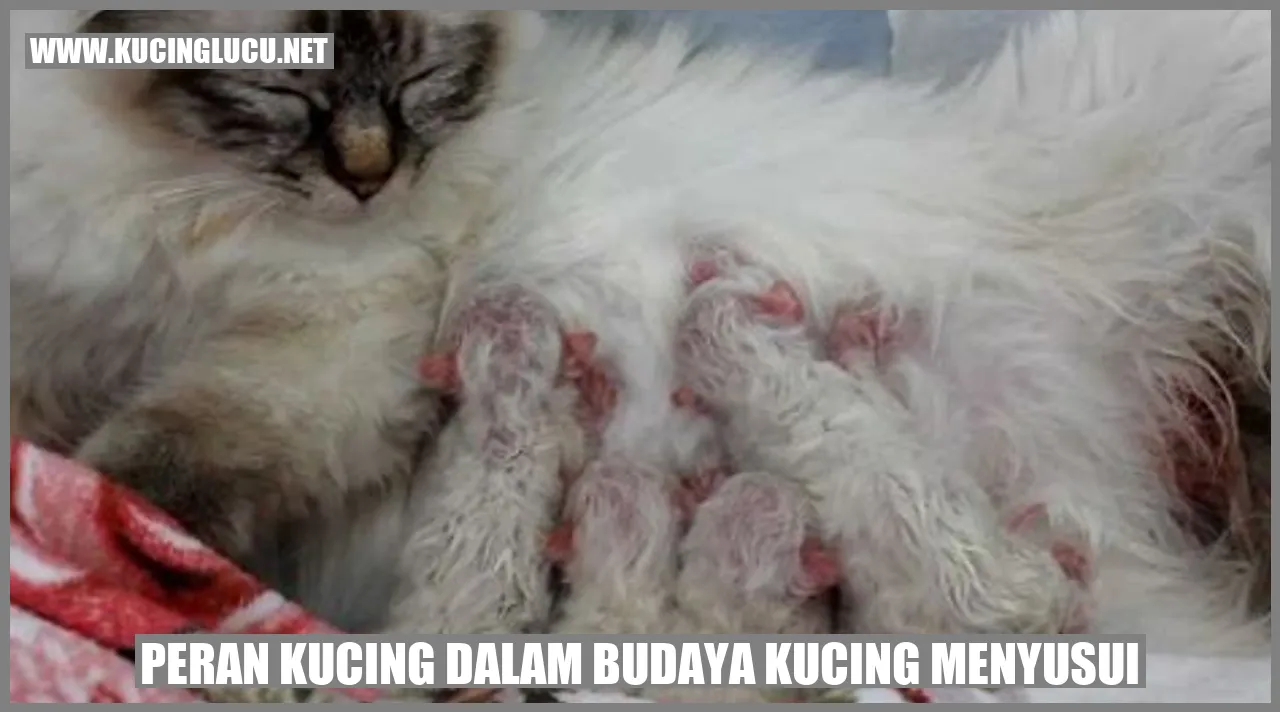 Kucing Menyusui