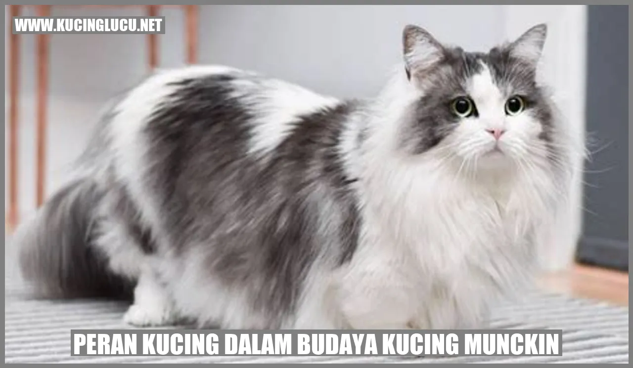 Kucing Munchkin