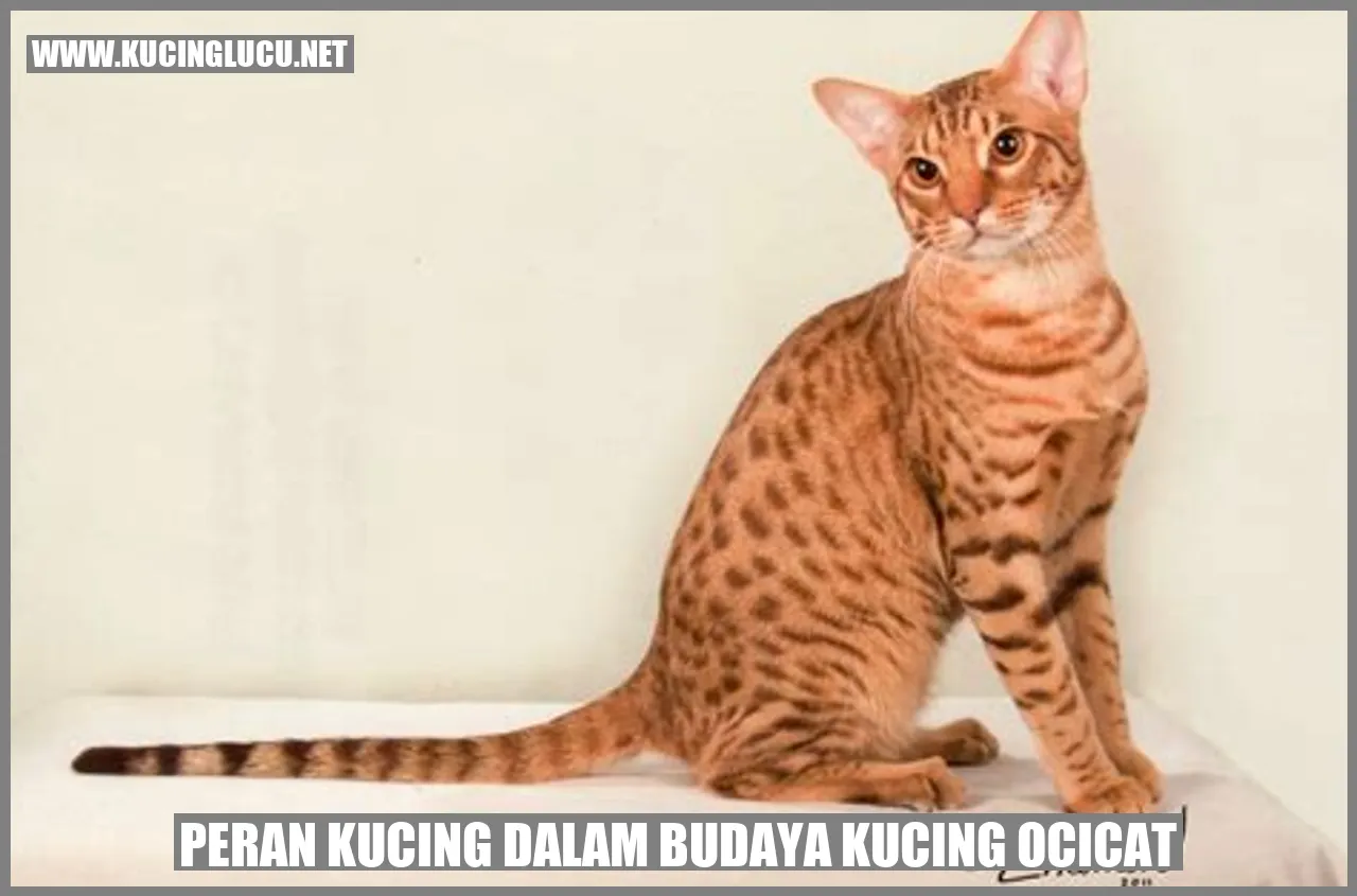 Kucing Ocicat