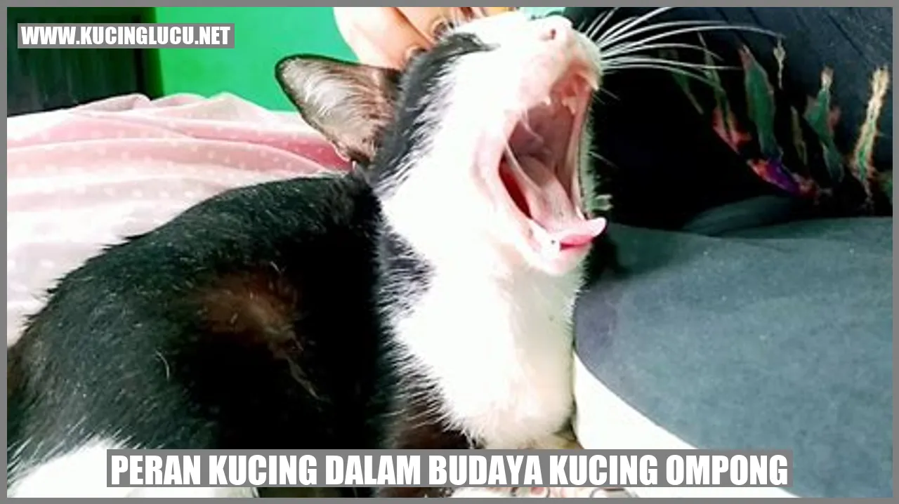 Peran Kucing dalam Budaya Kucing Ompong
