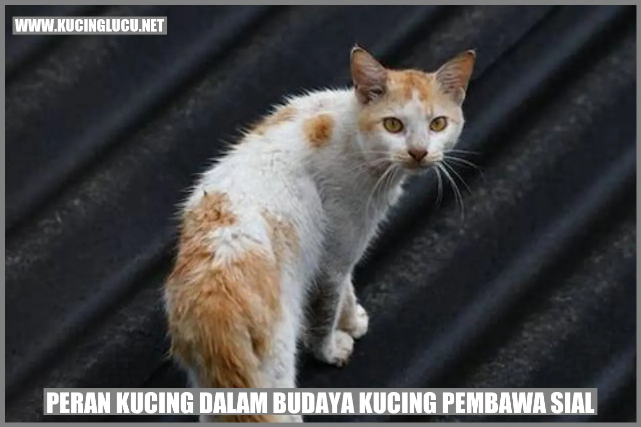 Peran Kucing dalam Budaya yang Mengaitkannya dengan Kesialan