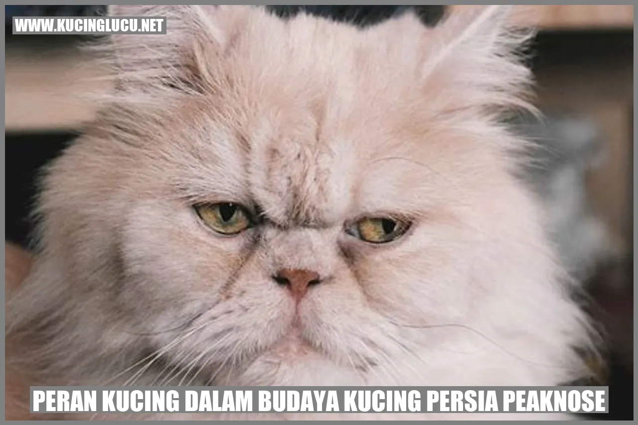 Peran Kucing dalam Budaya Kucing Persia Peaknose