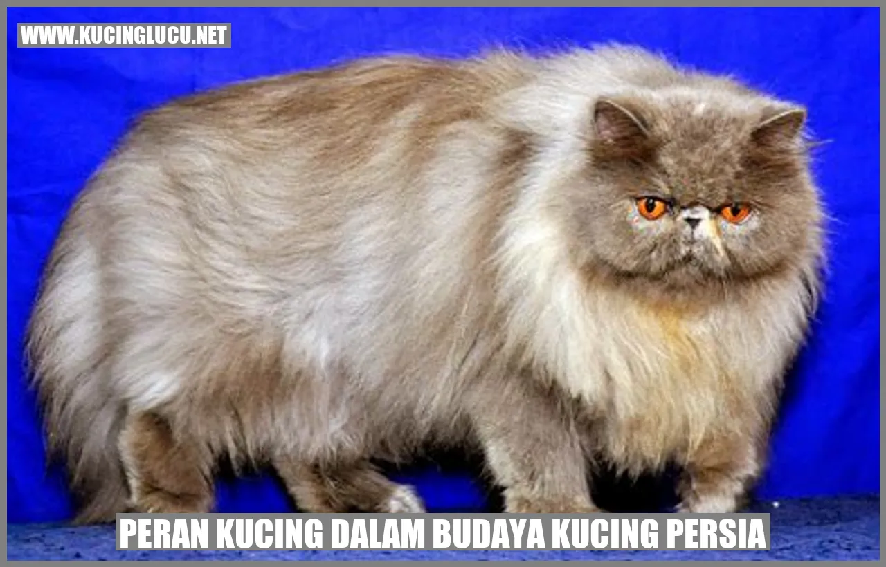 Kucing Persia