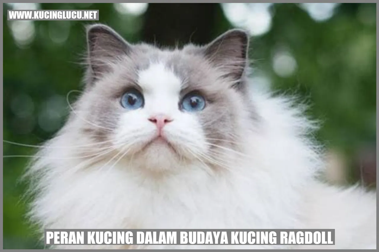Peran Kucing dalam Budaya Kucing Ragdoll