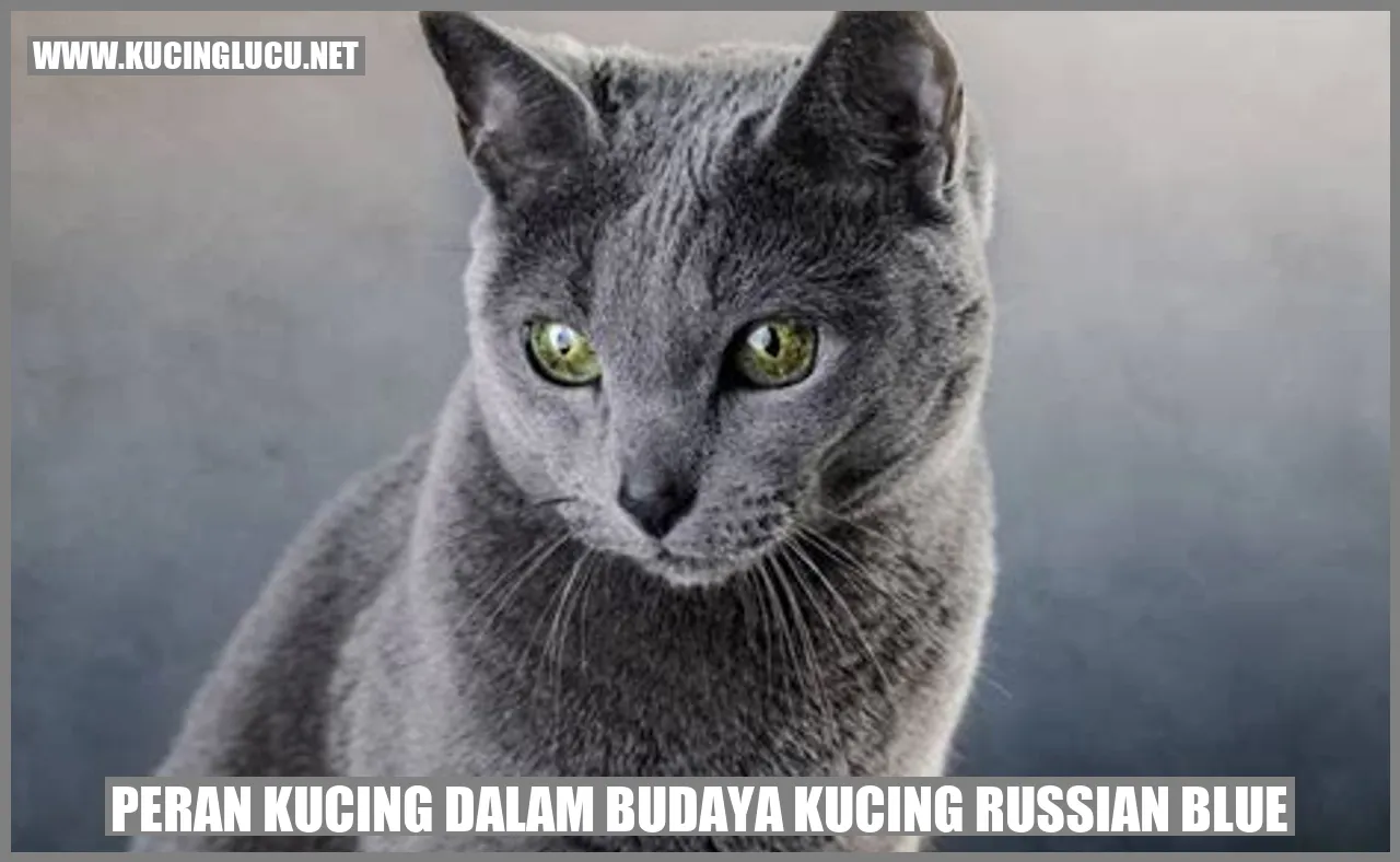 Kucing Russian Blue