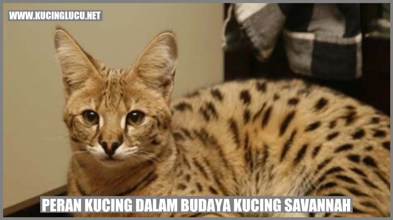 Peran Kucing dalam Budaya Kucing Savannah