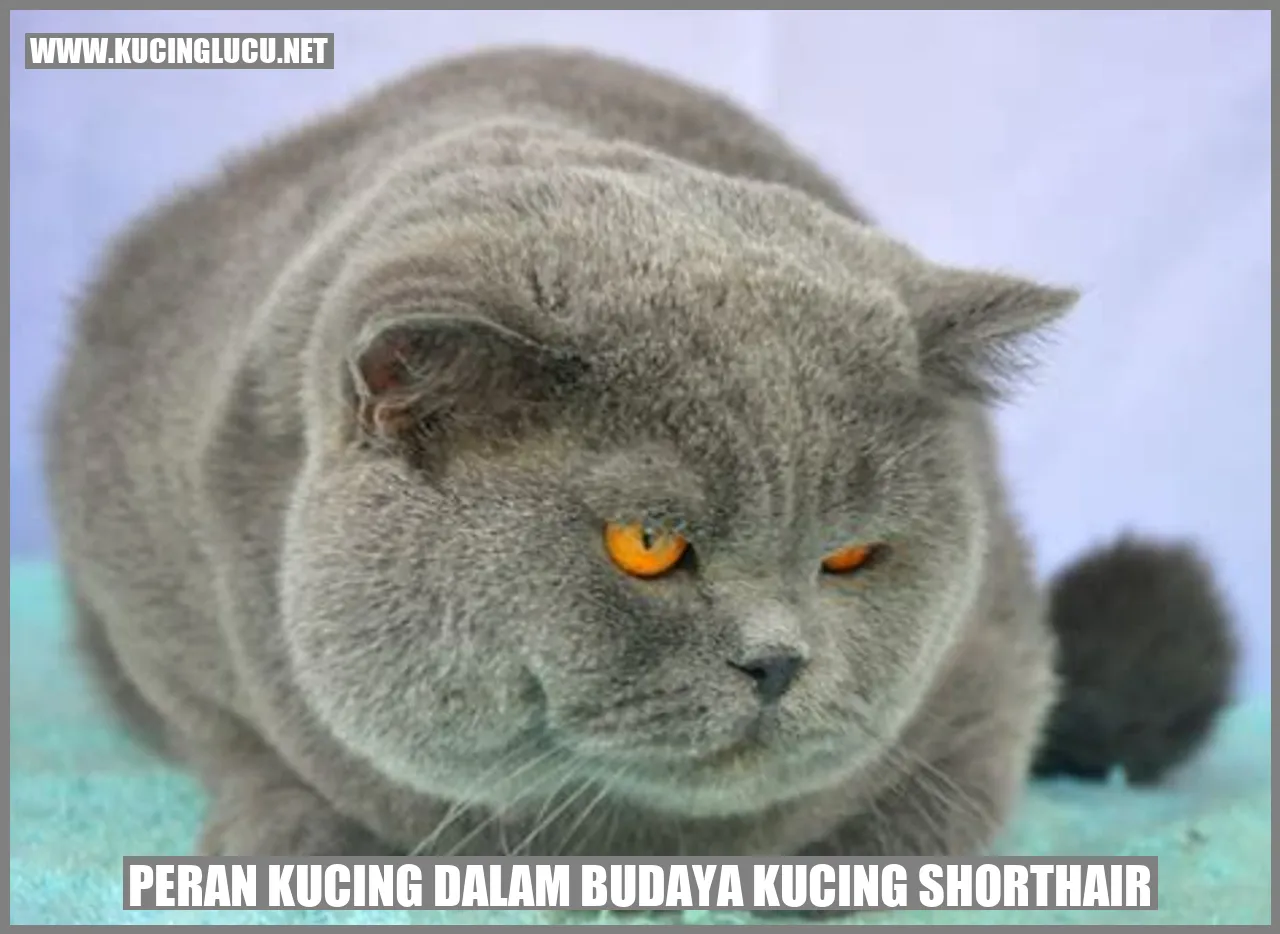 Peran Kucing dalam Budaya Kucing Shorthair