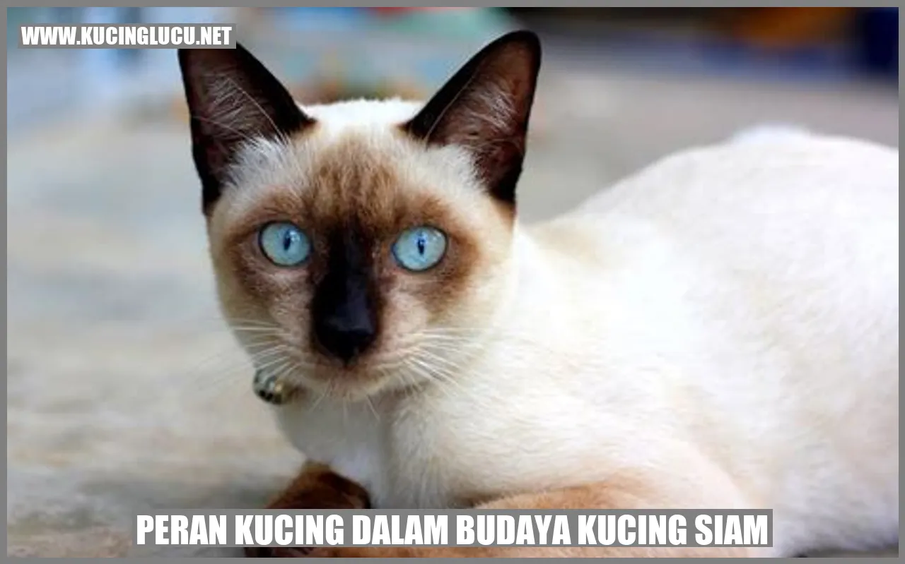 Peran Kucing dalam Budaya Kucing Siam