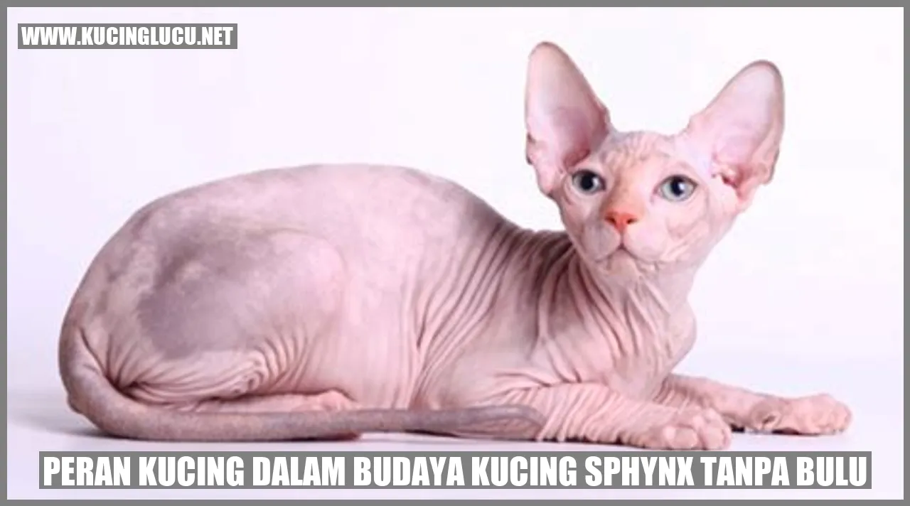 Peran Kucing dalam Budaya Kucing Sphynx Tanpa Bulu