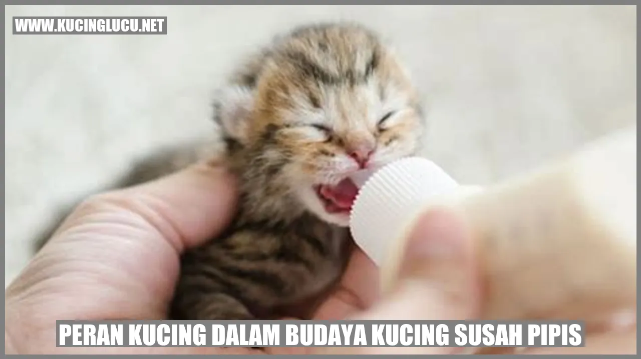Peran Kucing dalam Budaya