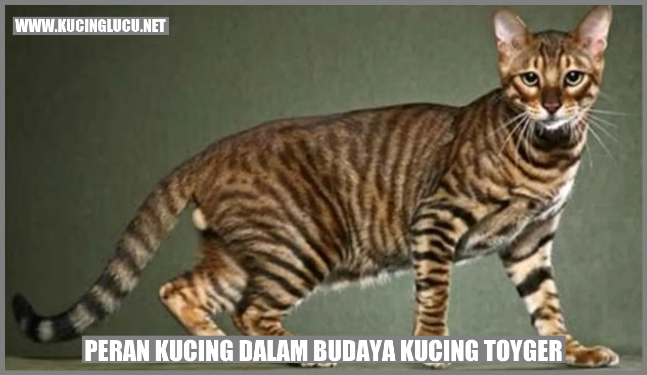 Peran Kucing dalam Budaya Kucing Toyger