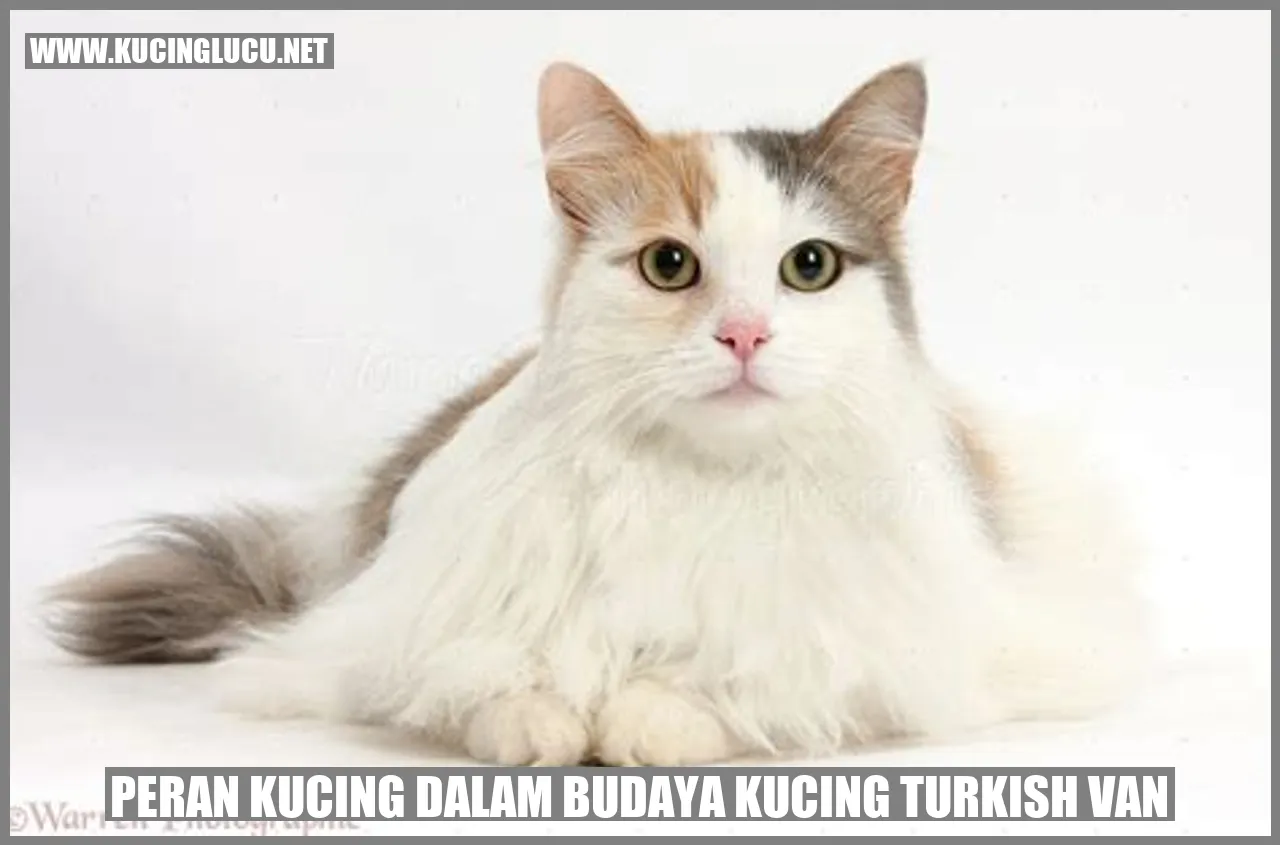 Peran Kucing dalam Budaya Kucing Turkish Van