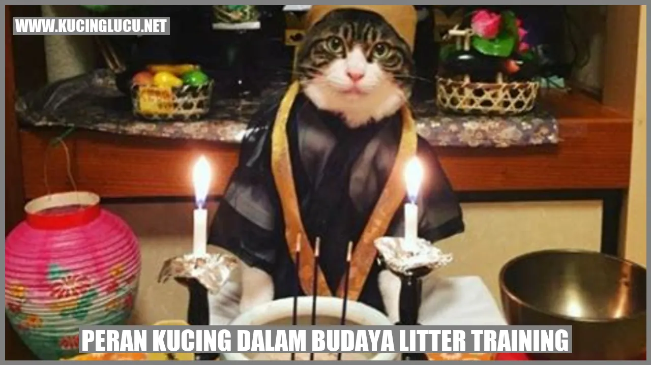 Peran Kucing dalam Budaya litter training