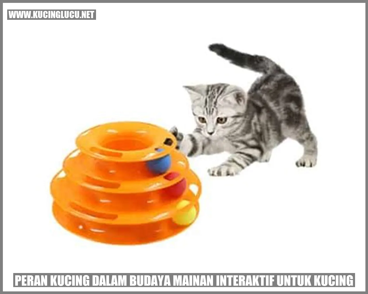 Peran Kucing dalam Budaya Mainan Interaktif untuk Kucing
