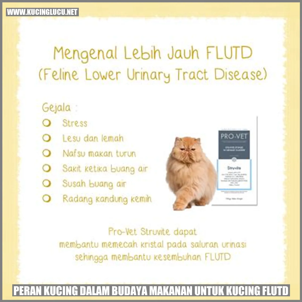 Peranan Kucing dalam Budaya Makanan untuk Kucing FLUTD