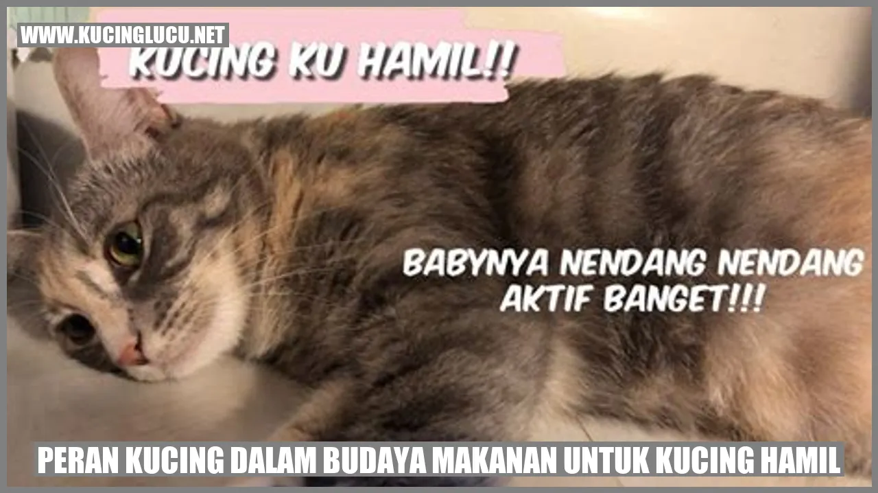 Kucing hamil