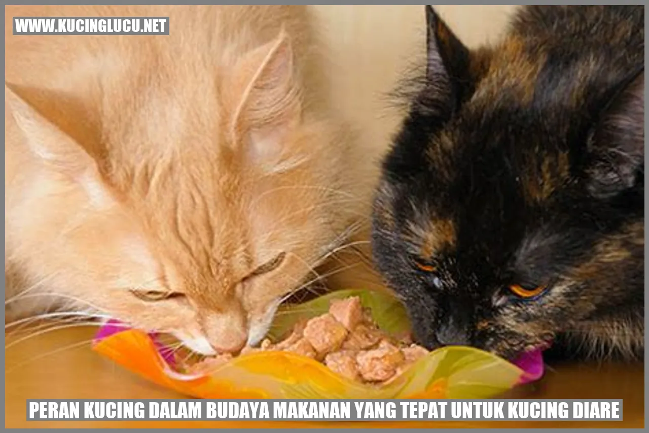 Peranan Kucing dalam Budaya Pemilihan Makanan yang Tepat untuk Kucing Mengalami Diare