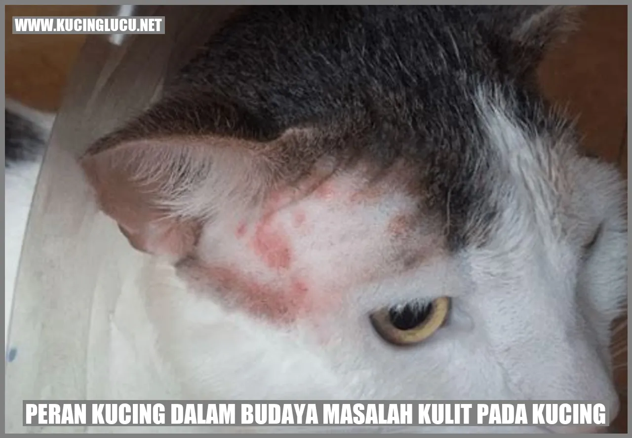 Peran Kucing dalam Budaya masalah kulit pada kucing