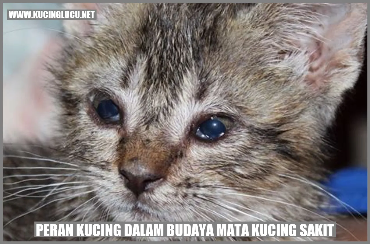 Peran Kucing dalam Budaya Mata Kucing Sakit