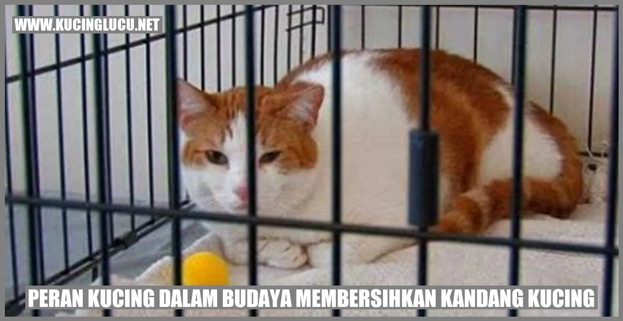 Gambar Kucing