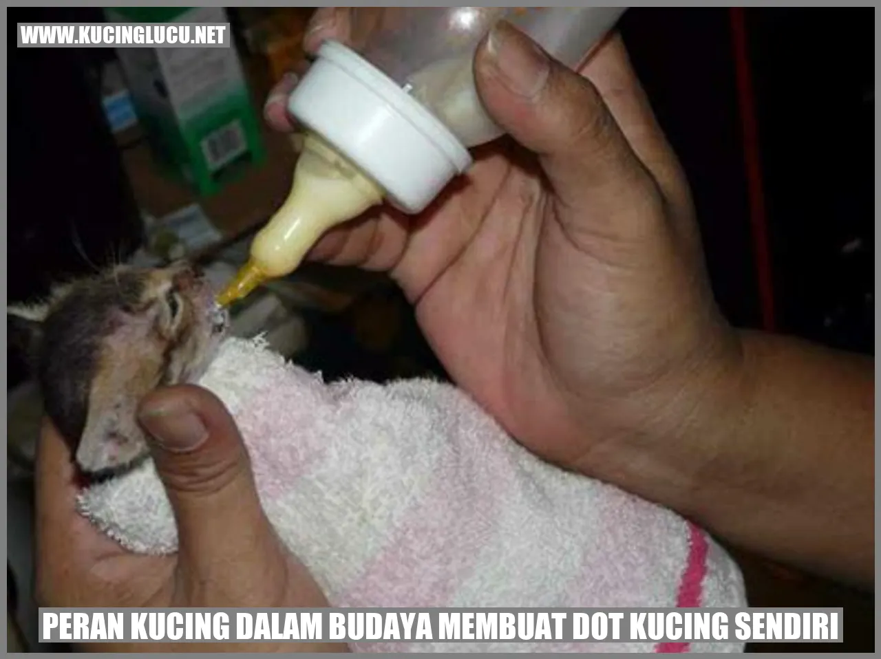 Peran Kucing dalam Budaya membuat dot kucing sendiri