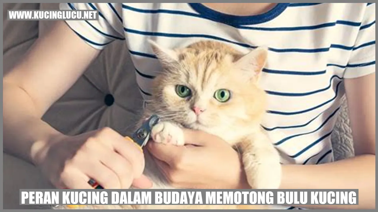 Kucing mencukur bulu