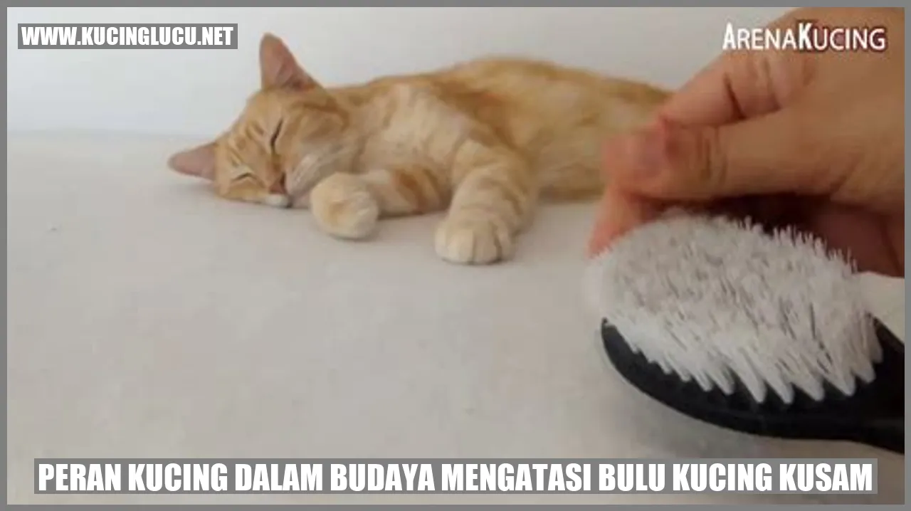 Peran Kucing dalam Budaya mengatasi bulu kucing kusam