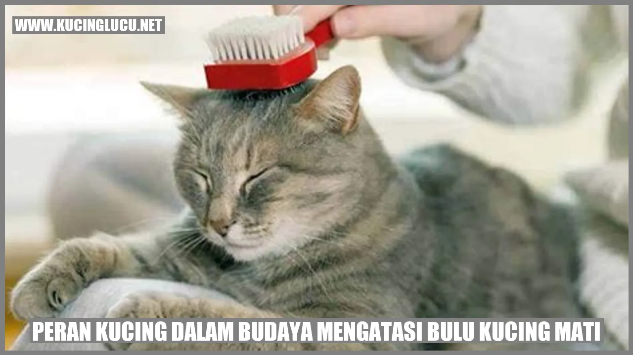 Peran Kucing dalam Budaya mengatasi bulu kucing mati