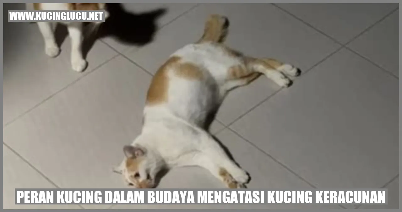 Kegunaan Kucing dalam Budaya untuk Mengatasi Keracunan pada Kucing