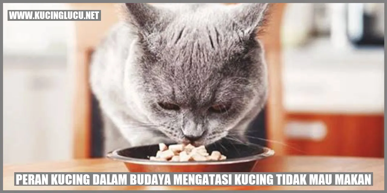 Peran Kucing dalam Budaya mengatasi kucing tidak mau makan