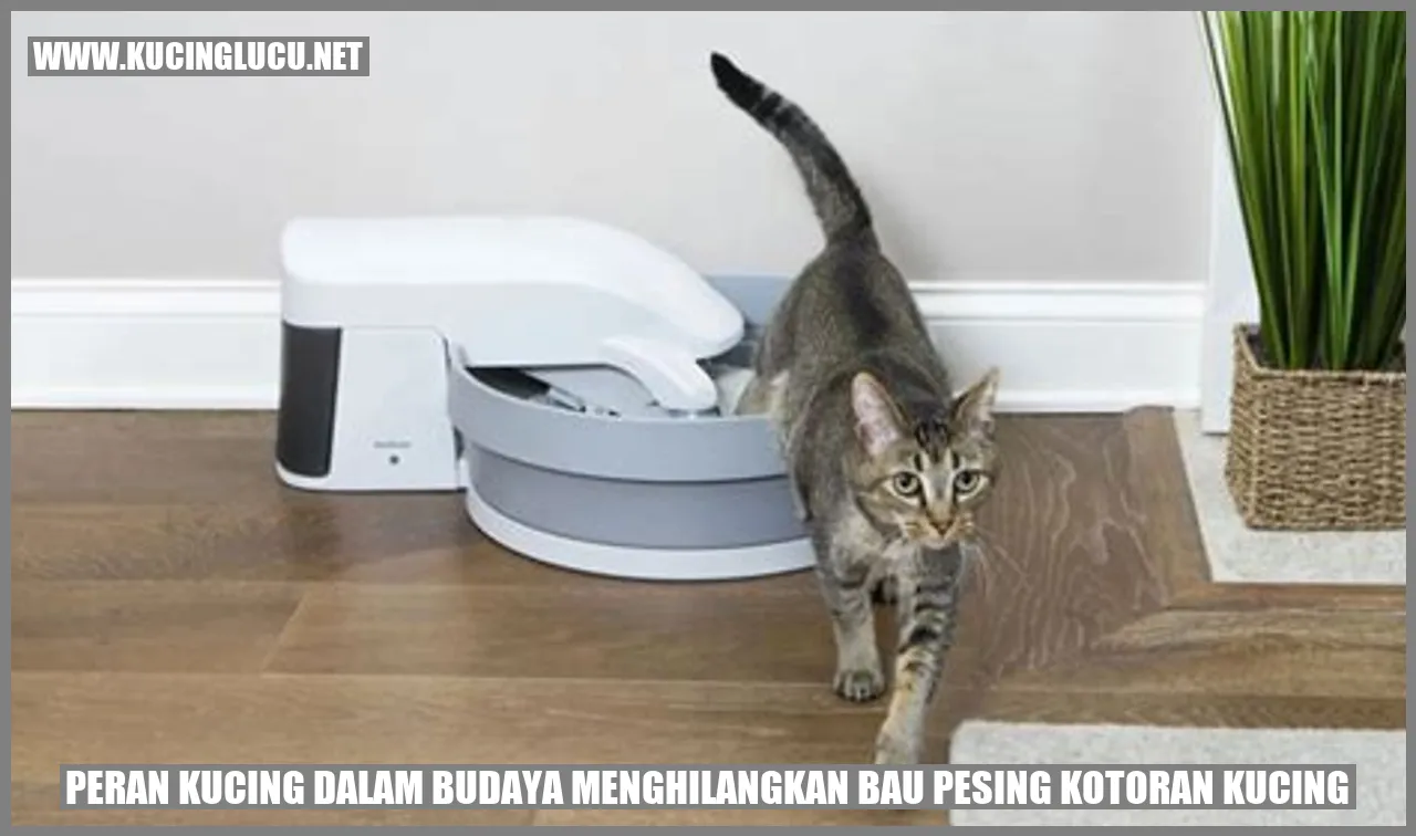 Kucing