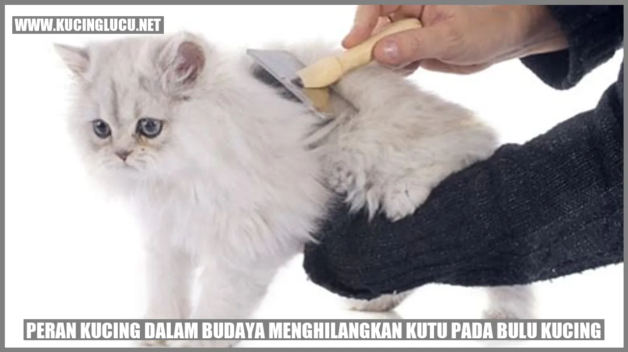 Peran Kucing dalam Budaya menghilangkan kutu pada bulu kucing