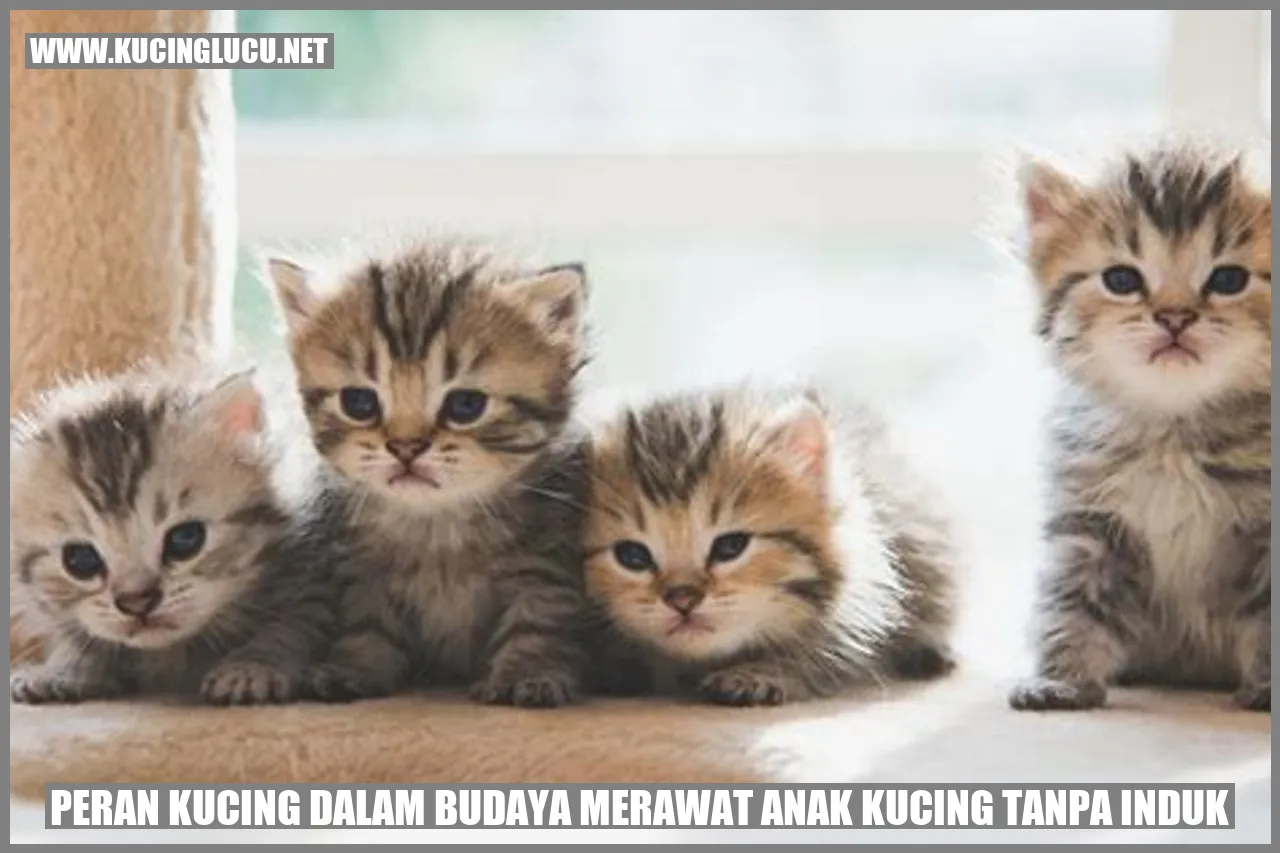 Gambar Kucing