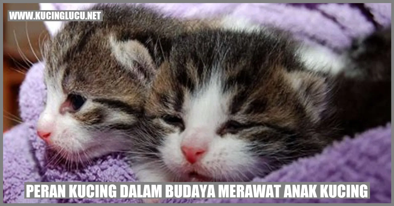 Peran Kucing dalam Budaya Merawat Anak Kucing