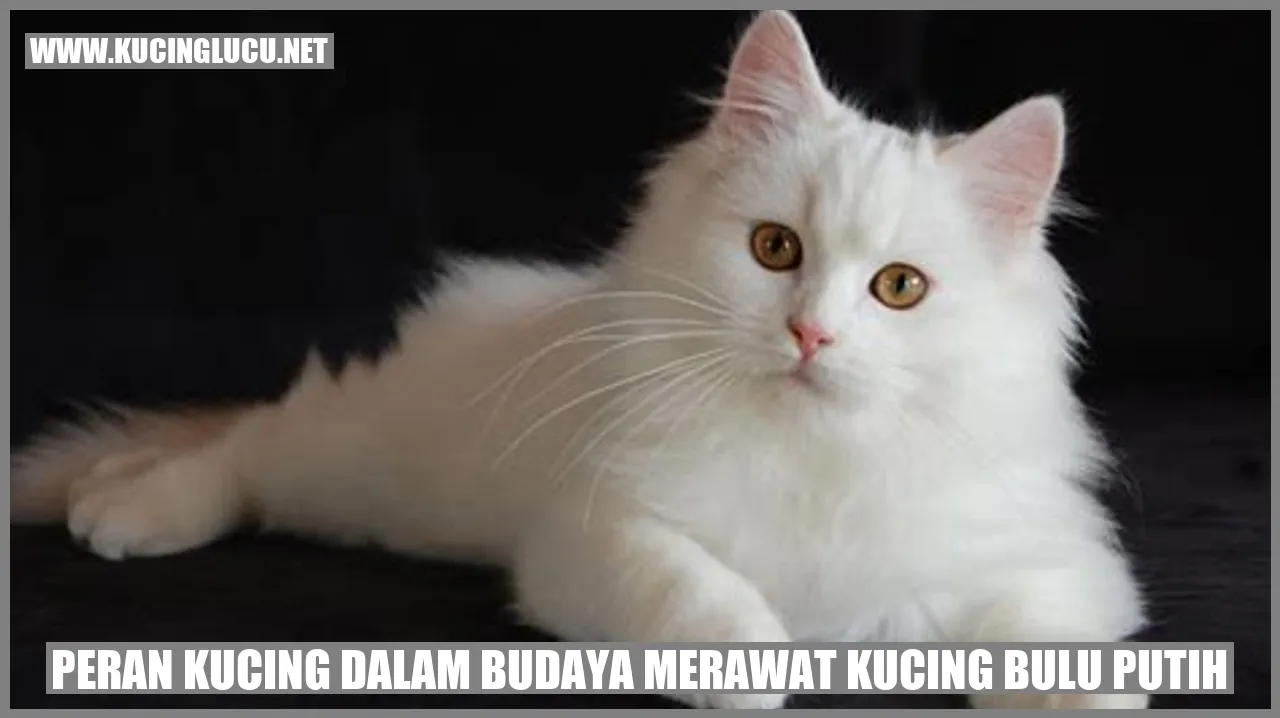 Peran Kucing dalam Budaya Merawat Kucing Bulu Putih