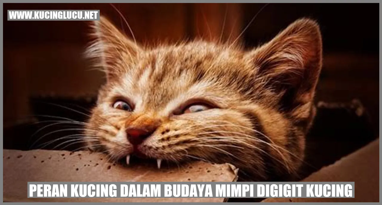 Kucing dalam Budaya Mimpi Terkena Gigitan Kucing
