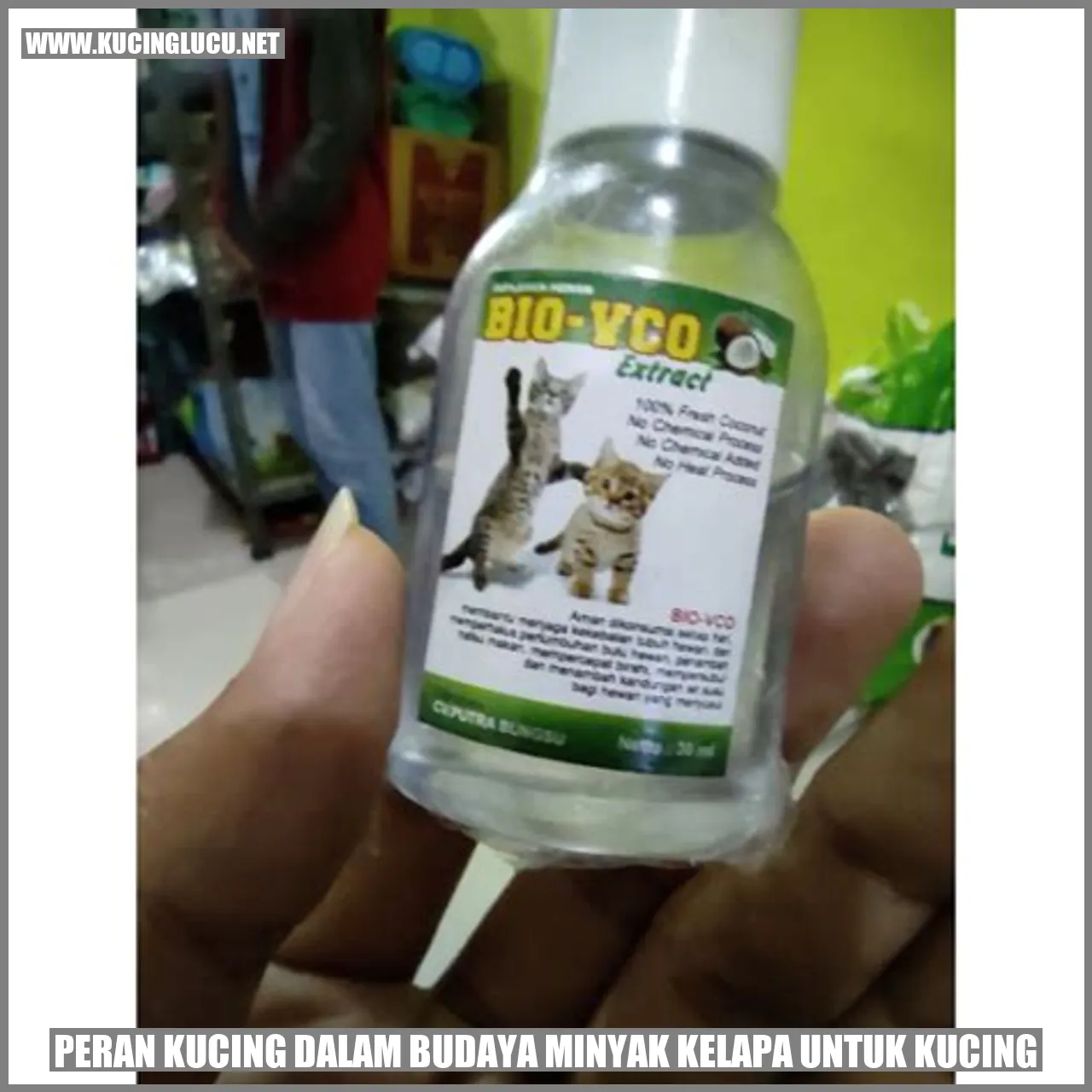Peran Kucing dalam Budaya Minyak Kelapa untuk Kucing
